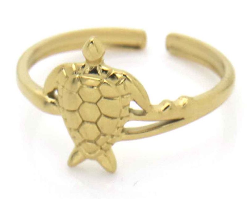 Ring Turtle
